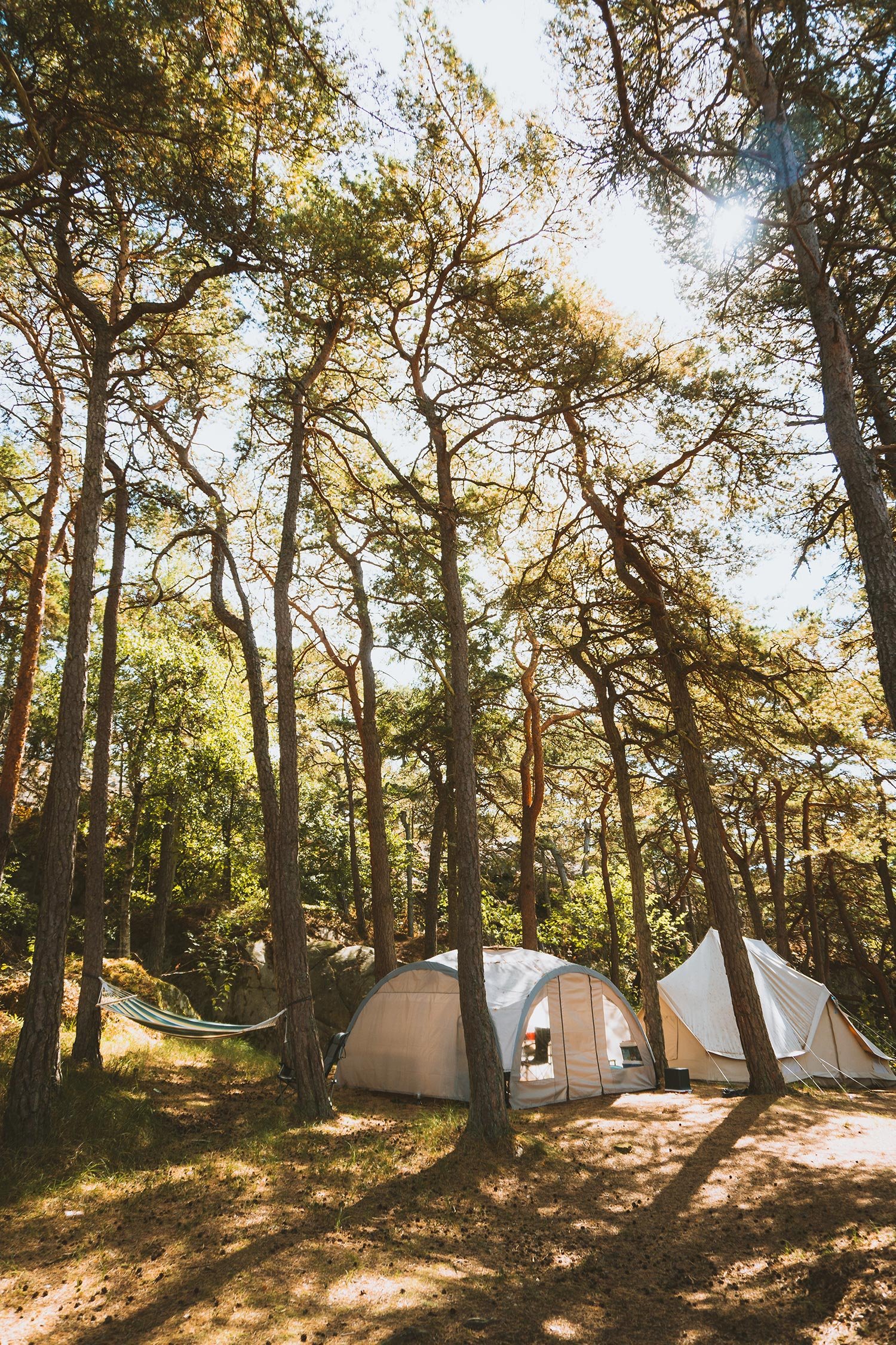 booth-camp-go-grein
